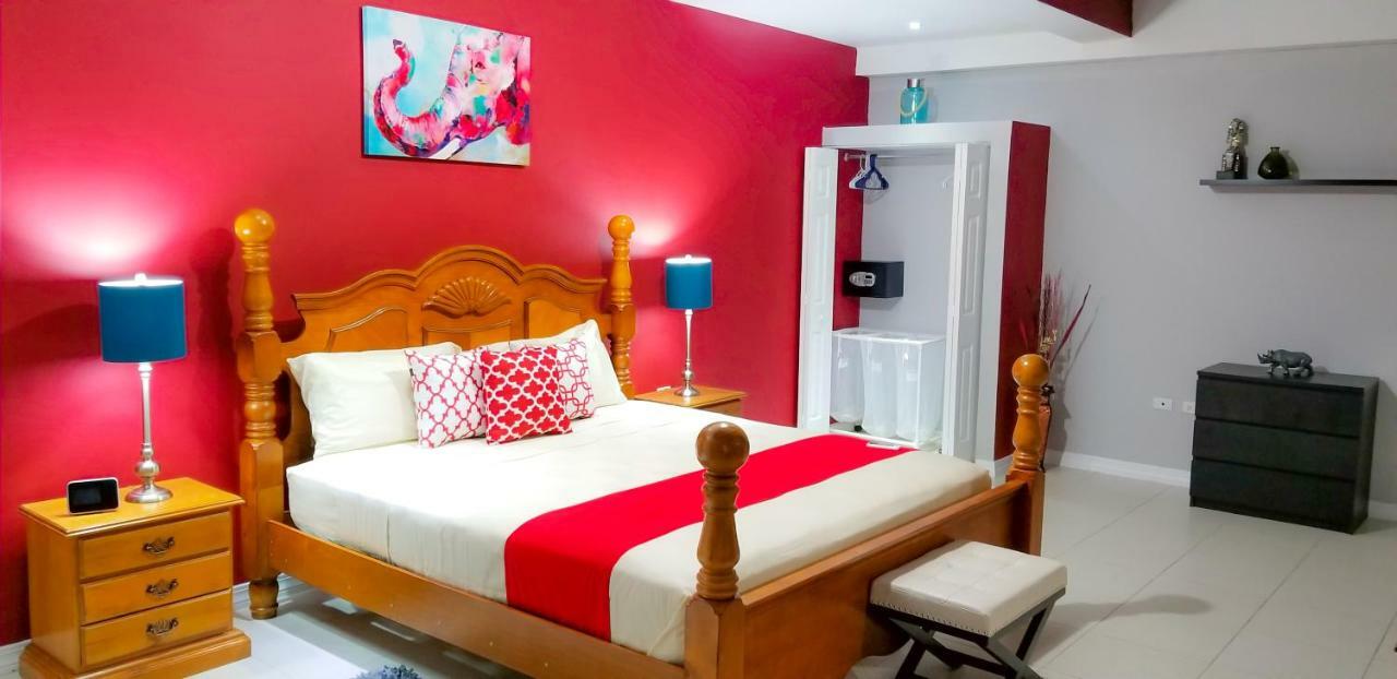 New Kingston Guest Apartments @ Donhead エクステリア 写真