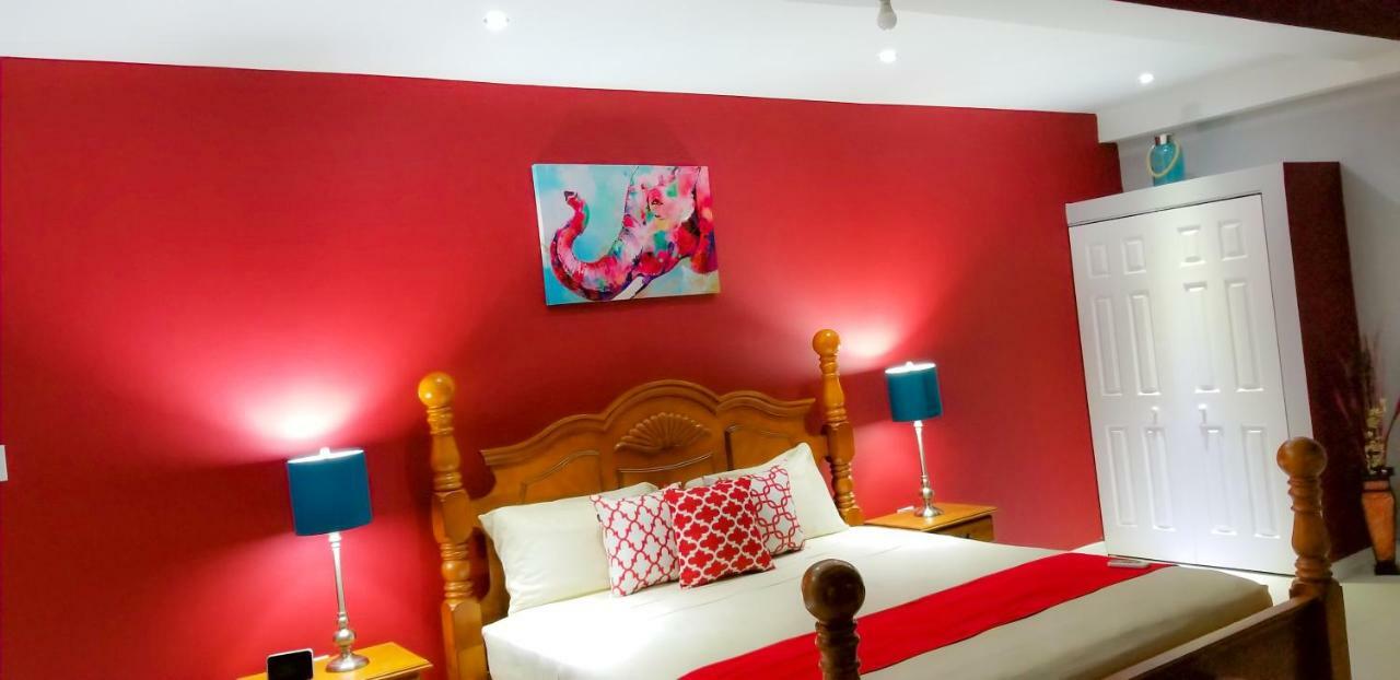 New Kingston Guest Apartments @ Donhead エクステリア 写真